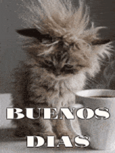 buenos-dias-buenos-d%C3%ADas.gif